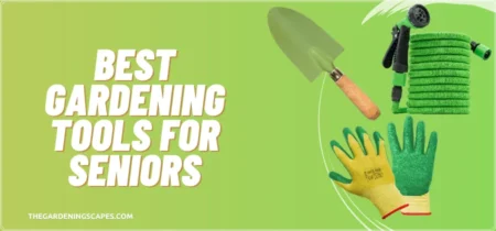 Best Gardening Tools for Seniors – Top 9 List
