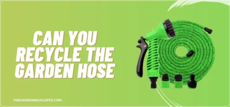 Can You Recycle The Garden Hose?
