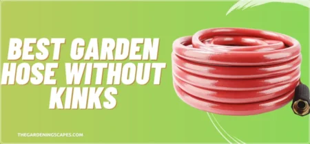 6 Best Garden Hose Without Kinks (Tested) 2023