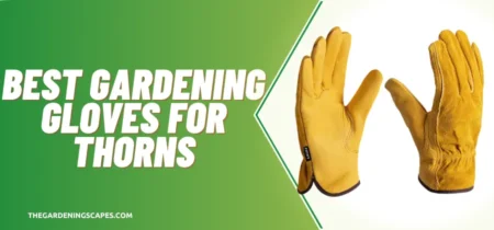 5 Best Gardening Gloves For Thorns