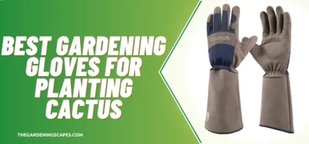 5 Best Gardening Gloves For Planting Cactus (Tested) 2023