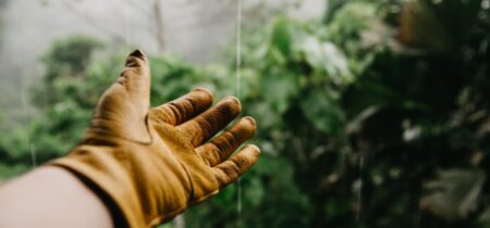 5 Best Gardening Gloves (Tested) 2023