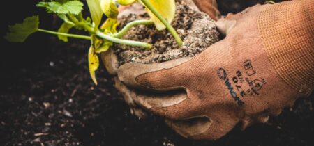 5 Best Gloves For Pulling Weeds (Tested) 2023