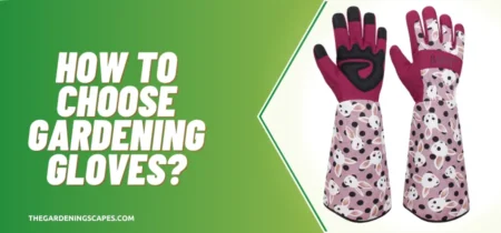 How to Choose Gardening Gloves?