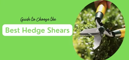 10 Best Hedge Shears (Tested) 2023