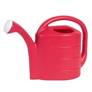 1. Novelty - 2-Gallon Plastic Watering Can