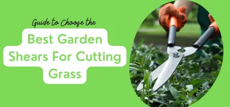 4 Best Garden Shears For Cutting Grass (Tested) 2023