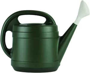 6. Home Depot - 2-Gallon Plastic Watering Can (not recommended)