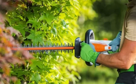 7 Best Cordless Hedge Trimmers (Tested) 2023