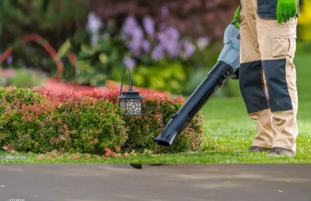 6 Best Cordless Leaf Blowers (Tested) 2023