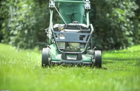 7 Best Lawn Mowers for Hills (Tested) 2023
