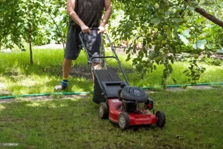 5 Best Self-Propelled Lawn Mowers 2023